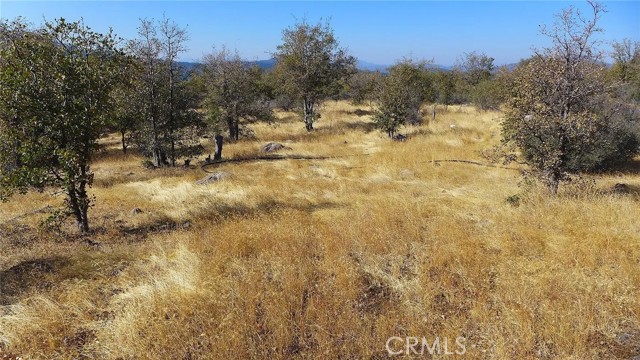 Detail Gallery Image 8 of 11 For 0 Crestline Dr, Round Mountain,  CA 96084 - – Beds | – Baths