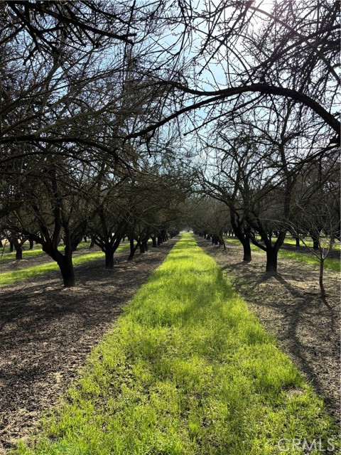 Detail Gallery Image 27 of 29 For 0 August, Delhi,  CA 95315 - – Beds | – Baths