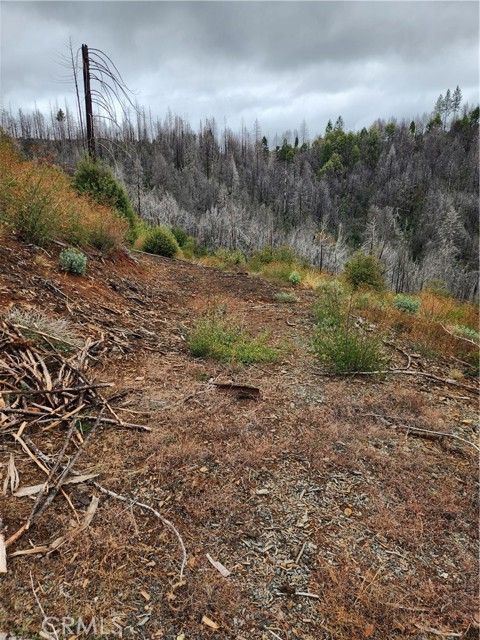 Detail Gallery Image 5 of 8 For 0 Oro-Quincy, Berry Creek,  CA 95916 - – Beds | – Baths