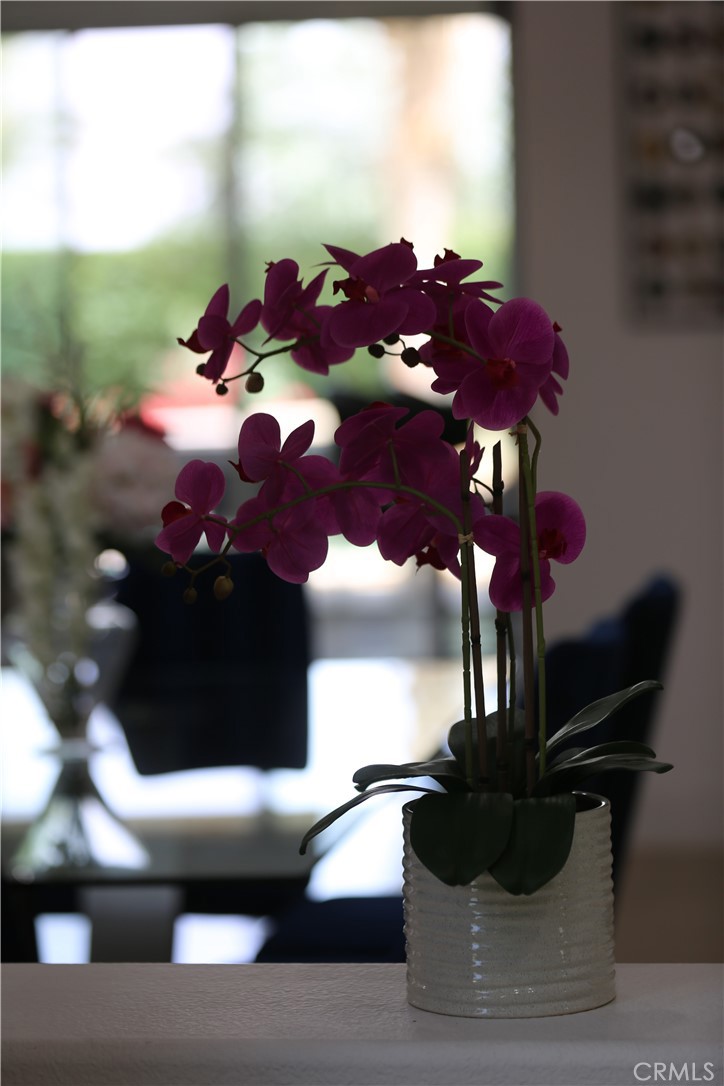 MLS #GD25254055 image #23