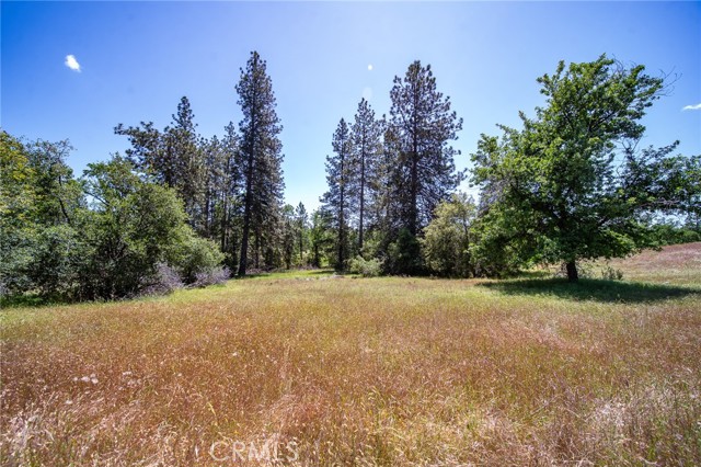 Detail Gallery Image 9 of 74 For 3122 Triangle Park Rd, Mariposa,  CA 95338 - 2 Beds | 1 Baths