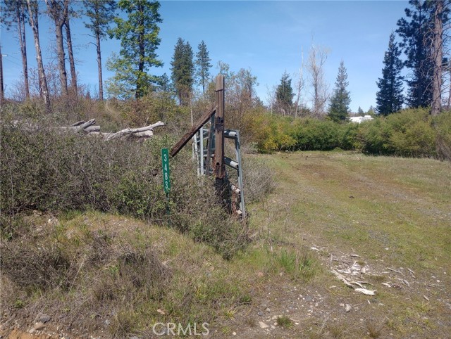 Detail Gallery Image 10 of 27 For 3515 Hoffman, Oroville,  CA 95965 - – Beds | – Baths