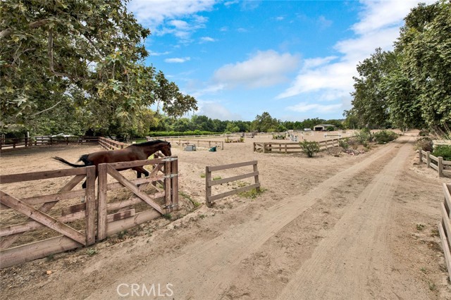 Detail Gallery Image 67 of 74 For 1 Marchin Dr, Coto de Caza,  CA 92679 - 4 Beds | 3/1 Baths