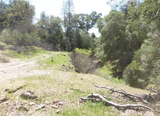 0 0 Vineyard Canyon Parcel 29, San Miguel, California 93451, ,Land,For Sale,0 0 Vineyard Canyon Parcel 29,CRNS23160263