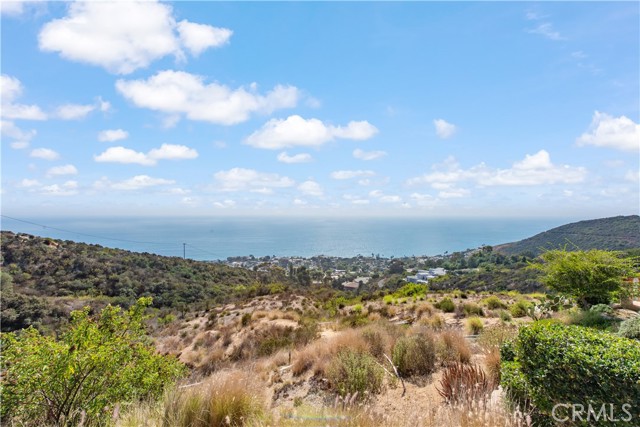 Detail Gallery Image 67 of 73 For 4 Le Conte, Laguna Niguel,  CA 92677 - 4 Beds | 4/1 Baths