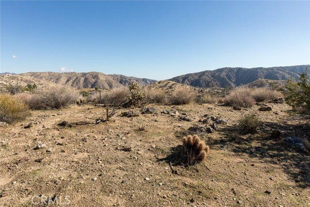 Detail Gallery Image 3 of 9 For 0 Magnolia Dr, Morongo Valley,  CA 92256 - – Beds | – Baths