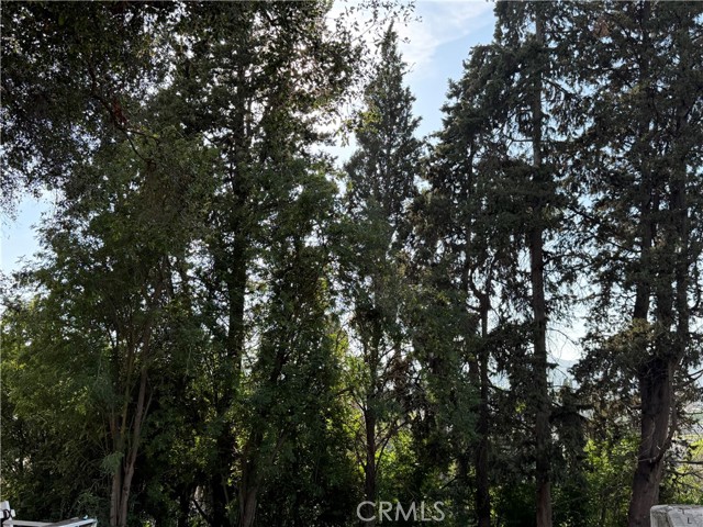 Detail Gallery Image 8 of 10 For 11146 N Ventura, Ojai,  CA 93023 - 0 Beds | 0 Baths