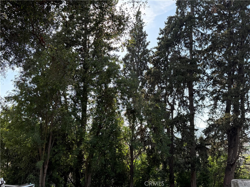 https://media.crmls.org/medias/22ff45c7-7508-4fd9-83ae-b5d76fefa8c4.jpg?preset=X-Large