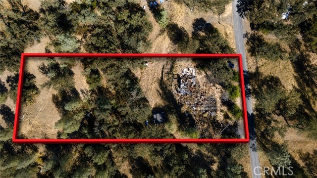 Front Image Thumbnail for CRPA26168585