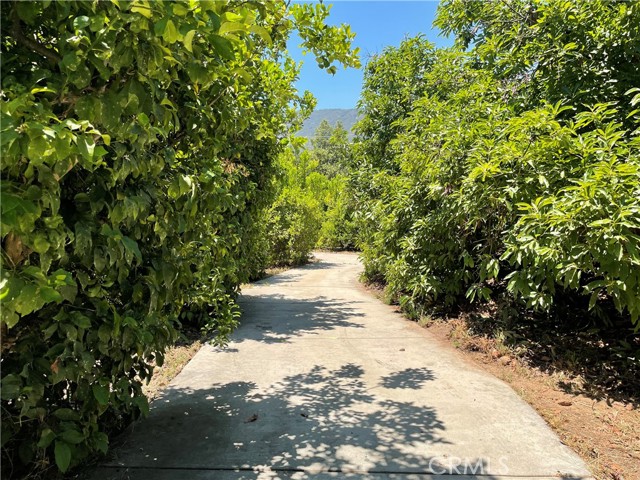 44952 Vista Del Mar, Temecula CA: https://media.crmls.org/medias/23013d47-b39a-45fb-b84a-4cca28236c52.jpg