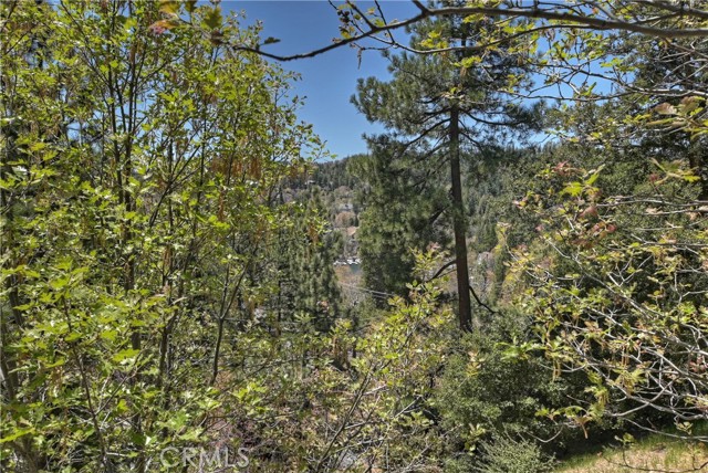 Detail Gallery Image 51 of 59 For 27757 North Bay Rd, Lake Arrowhead,  CA 92352 - 4 Beds | 3 Baths