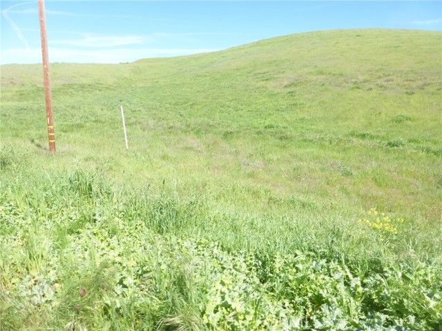 Detail Gallery Image 15 of 27 For 0 Douglas Rd. (Lot 41), San Miguel,  CA 93451 - – Beds | – Baths