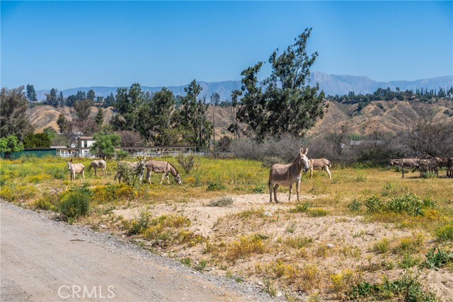 Detail Gallery Image 22 of 28 For 0 Boyscout Rd, Redlands,  CA 92373 - – Beds | – Baths
