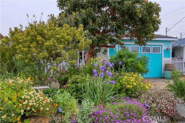 1190 11th Street, Los Osos CA: https://media.crmls.org/medias/23072a4e-898a-4bbc-b601-d349a3b73990.jpg