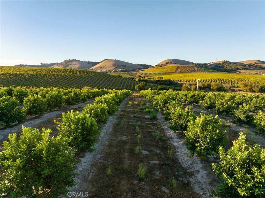 MLS #NS25194884 image #40