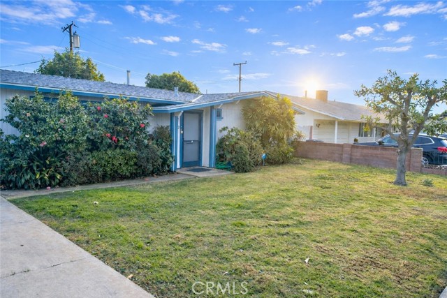 Front Image Thumbnail for CROC25282459