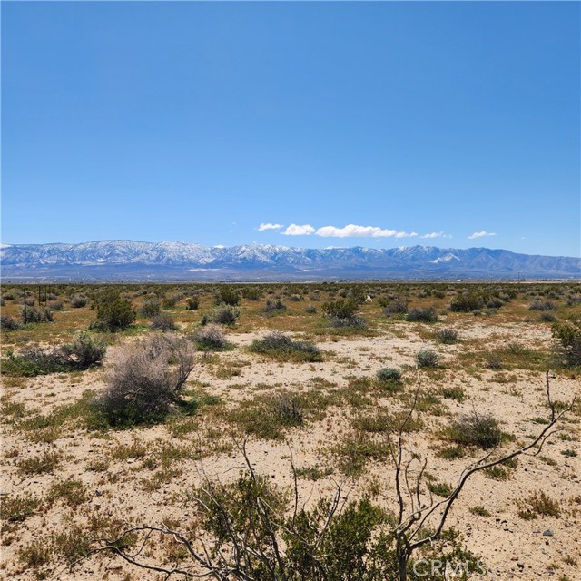 Detail Gallery Image 7 of 7 For 45215138 Near Fairlane, Lucerne Valley,  CA 92356 - – Beds | – Baths