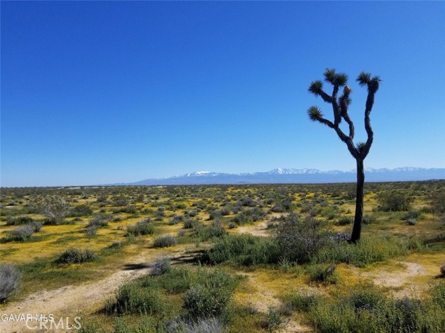0 E Avenue F, Lancaster CA: https://media.crmls.org/medias/231ba40b-bcd1-432c-bb18-25ebb77c10ae.jpg
