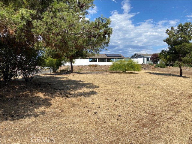 0 Calle Los Arboles, Spring Valley, California 91978, ,Residential Land,For Sale,Calle Los Arboles,AR24148155