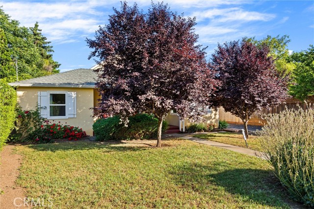 Detail Gallery Image 9 of 53 For 225 W 12th St, Chico,  CA 95928 - 3 Beds | 3 Baths