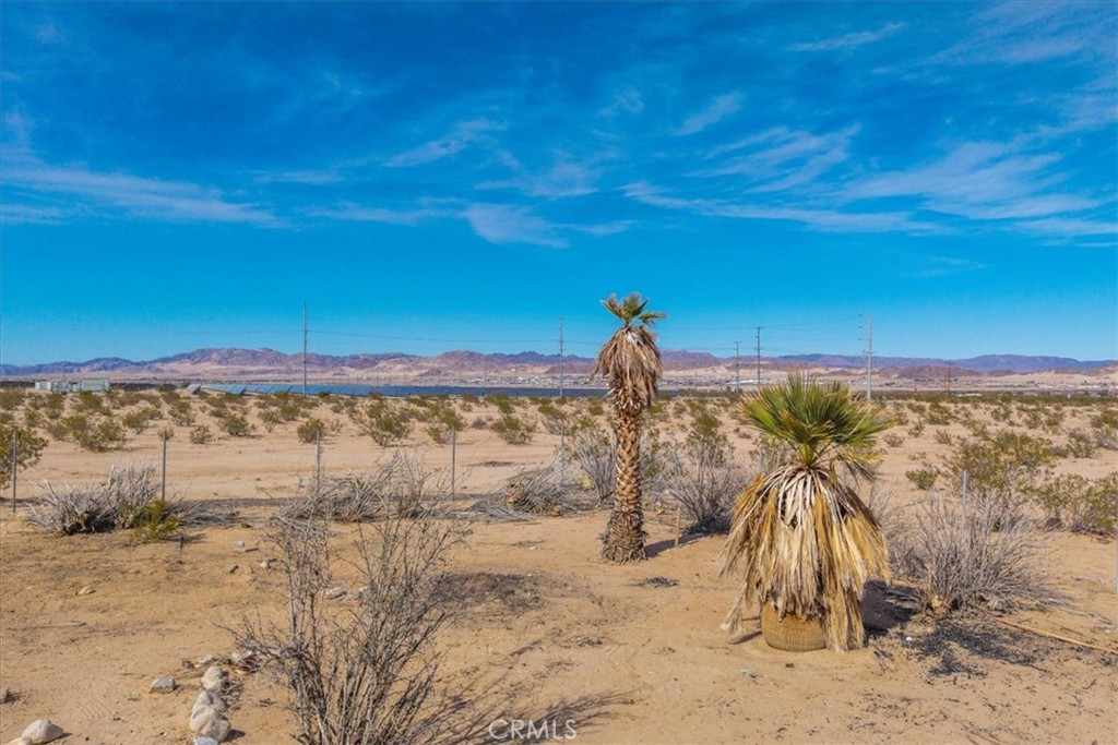 MLS #JT25029805 image #13