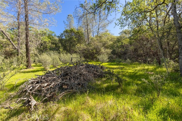 Detail Gallery Image 11 of 20 For 0 Louise, Oroville,  CA 95965 - – Beds | – Baths