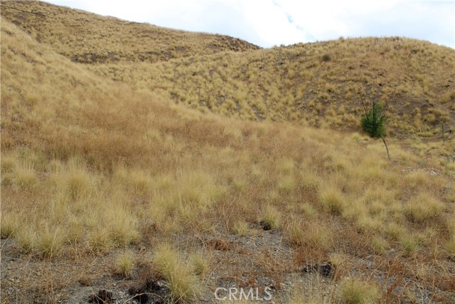 3448 N Beverly Drive, San Bernardino CA: https://media.crmls.org/medias/232595f2-8347-4808-a5af-2df0695ae1a5.jpg