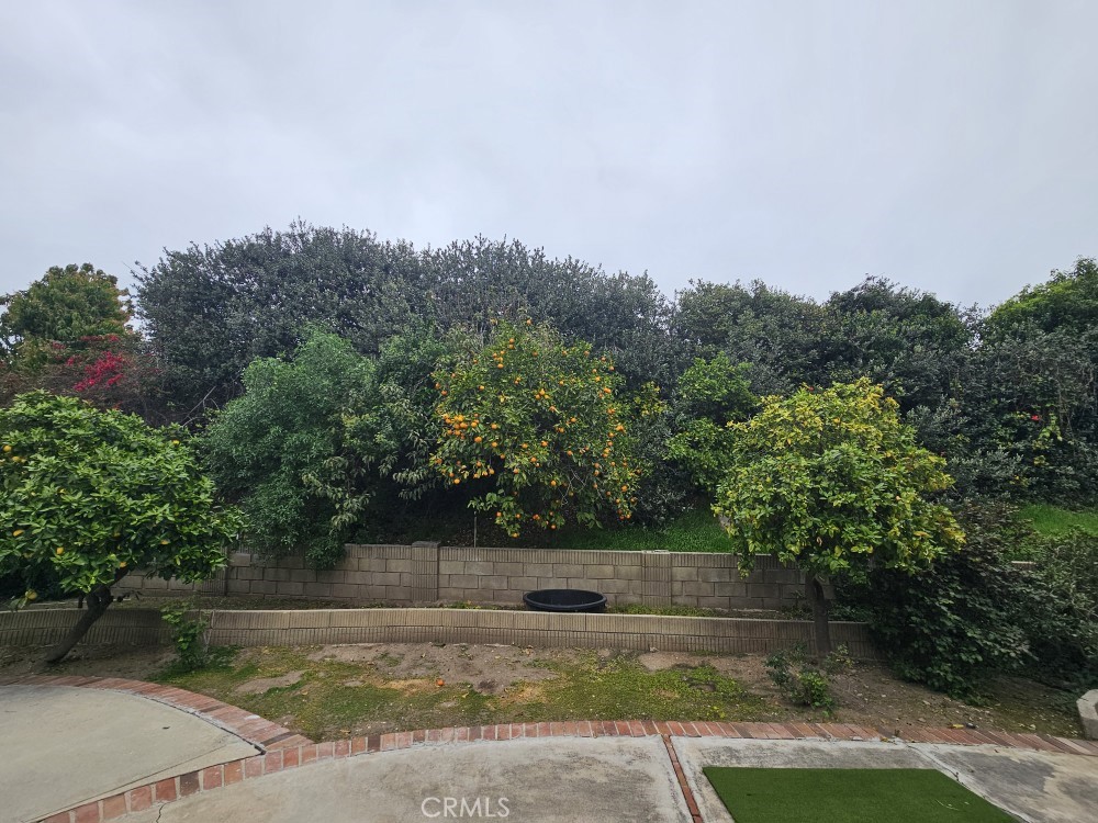 https://media.crmls.org/medias/2327b23f-df3d-46e3-b3f7-901dcd3e7011.jpg?preset=X-Large