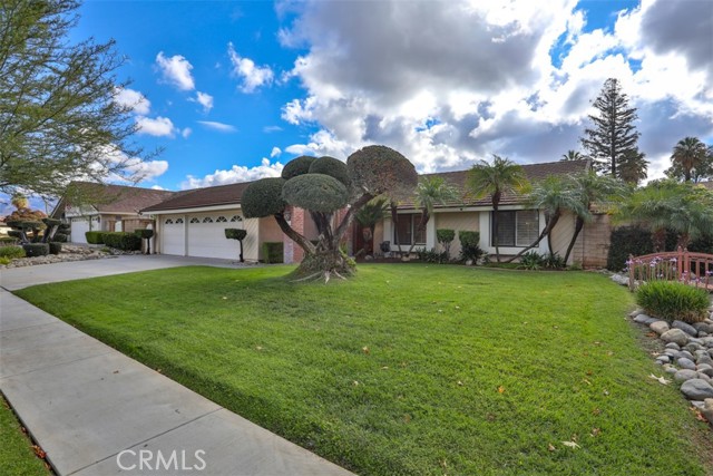 Detail Gallery Image 32 of 32 For 1556 Gary, Redlands,  CA 92374 - 4 Beds | 2 Baths