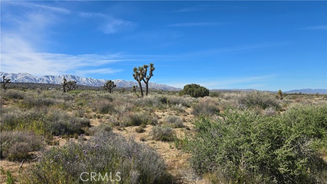 Detail Gallery Image 38 of 50 For 0 Fort Tejon Rd Vicinity 181st St E, Llano,  CA 93544 - – Beds | – Baths