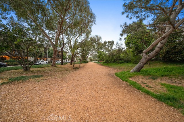 Another view of the Greenbelt