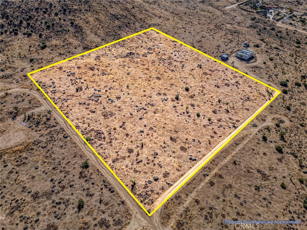 MLS #JT25046600 image #7