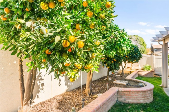 Detail Gallery Image 48 of 67 For 6055 Spanish Trail Cove, Banning,  CA 92220 - 3 Beds | 2/1 Baths