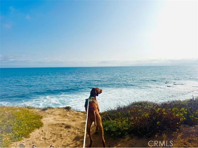 4621 Hampden Rd, Corona del Mar CA: https://media.crmls.org/medias/23375033-9710-40b7-8ca3-5157bfd37e2d.jpg