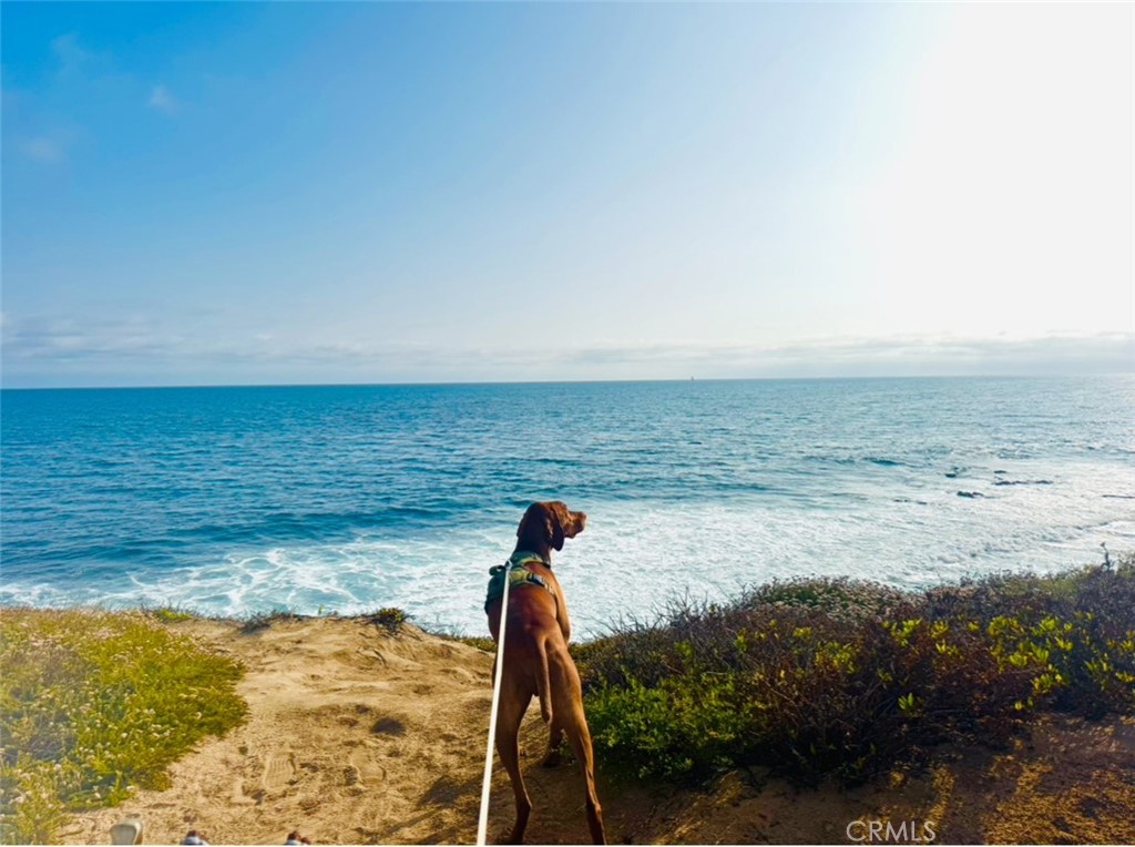 https://media.crmls.org/medias/23375033-9710-40b7-8ca3-5157bfd37e2d.jpg?preset=X-Large