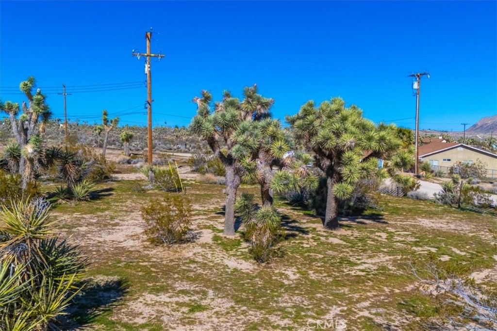 https://media.crmls.org/medias/233ac825-d14d-4c63-9343-c87ba8c38ea6.jpg?preset=X-Large