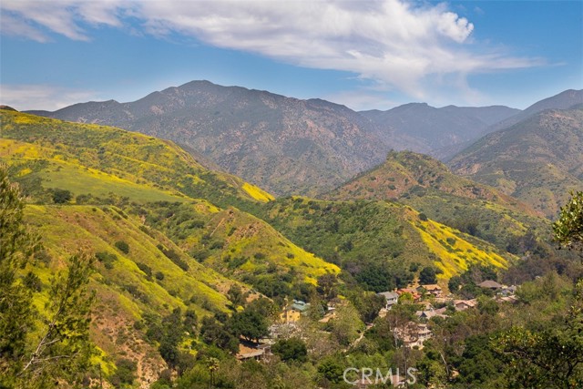 19041 Live Oak Canyon Road, Trabuco Canyon CA: https://media.crmls.org/medias/23406938-fb3a-492b-9528-9b10f4040034.jpg