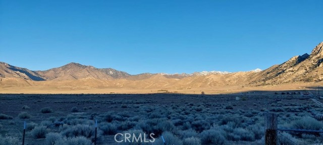 MLS #SB25239937 image #5