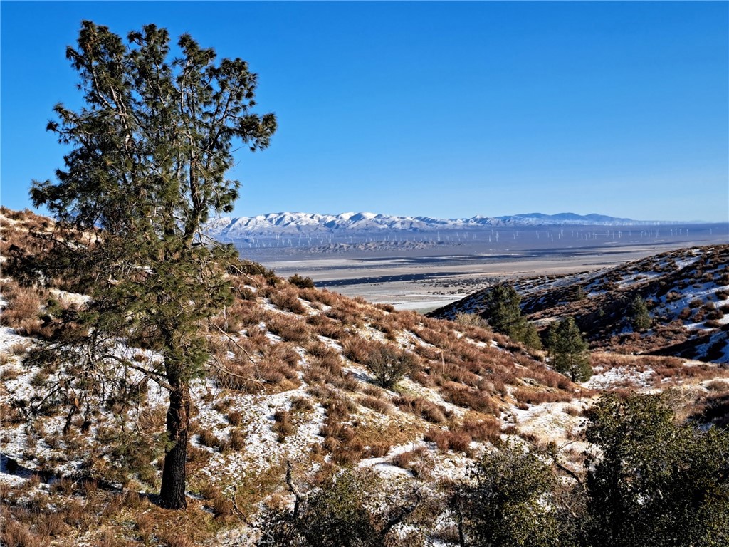 https://media.crmls.org/medias/2347111e-7849-4006-8fc8-dd6e96c62f3b.jpg?preset=X-Large