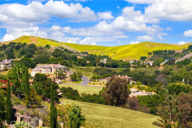 Detail Gallery Image 55 of 56 For 1036 Alpine Ct, Chino Hills,  CA 91709 - 4 Beds | 3/1 Baths