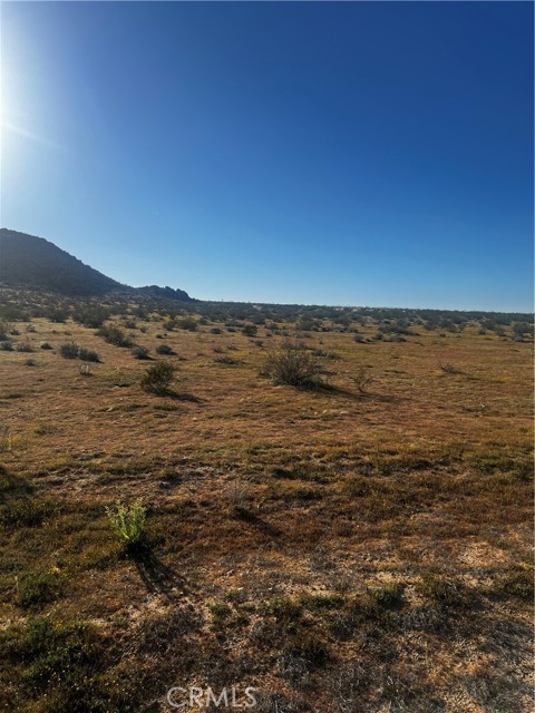 Detail Gallery Image 8 of 8 For 29 Pineridge Rd, Adelanto,  CA 92301 - – Beds | – Baths