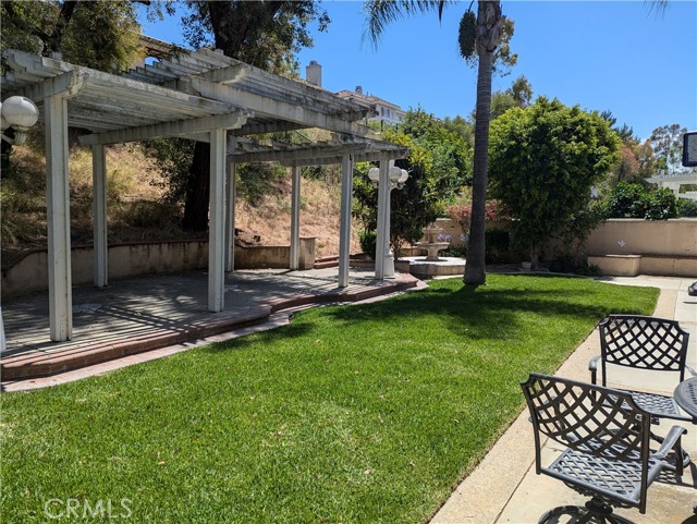 Backyard 2