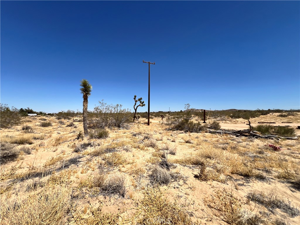 MLS #SW24134801 image #4