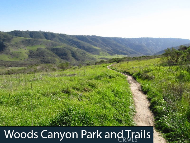 MLS #OC25250506 image #42