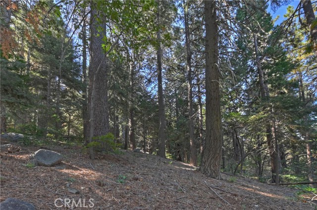 24091 Lakeview Drive, Crestline, California 92325, 3 Bedrooms Bedrooms, ,2 BathroomsBathrooms,Residential,For Sale,24091 Lakeview Drive,CREV23190763