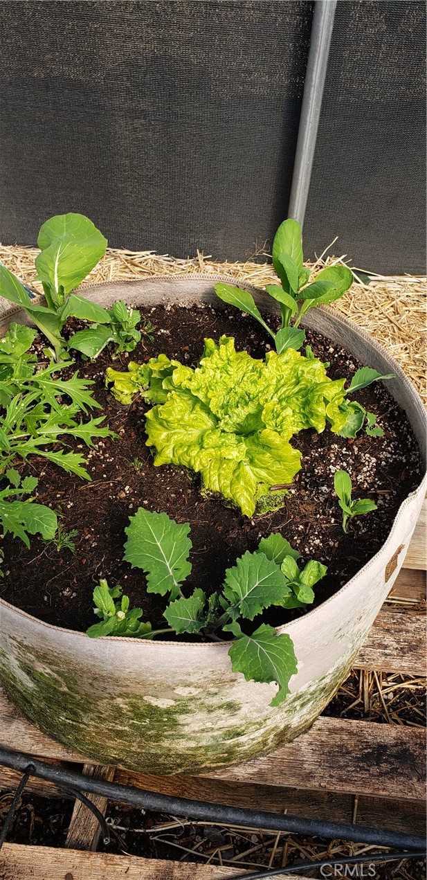 Detail Gallery Image 50 of 74 For 57745 Bailey, Anza,  CA 92539 - 3 Beds | 2 Baths