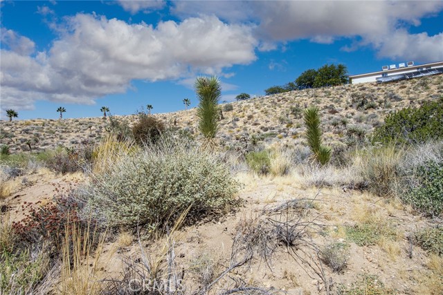 4444 Navajo Trail, Yucca Valley, California 92284, ,Land,For Sale,4444 Navajo Trail,CRJT23197900