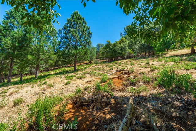 Detail Gallery Image 71 of 75 For 3126 Edgewood Drive, Kelseyville,  CA 95451 - – Beds | – Baths