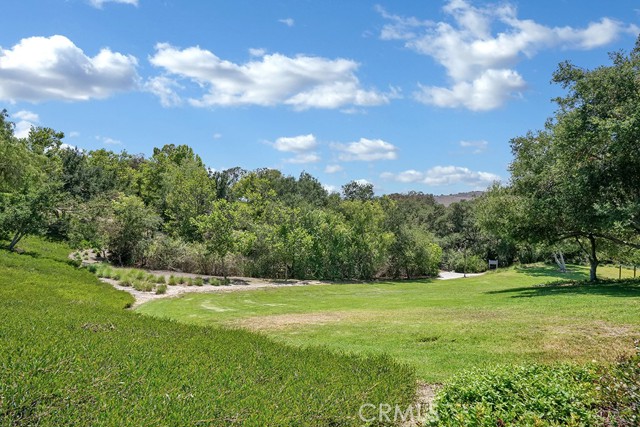 11 Spring View Way, Rancho Santa Margarita CA: https://media.crmls.org/medias/236218d8-4e7a-449e-b33d-92d787f166fa.jpg