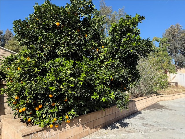 Detail Gallery Image 20 of 28 For 22322 Hillshore Ct, Wildomar,  CA 92595 - 3 Beds | 2 Baths